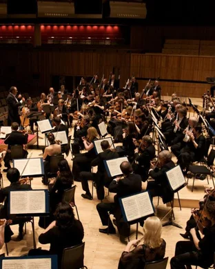 Yosa Philharmonic San Antonio