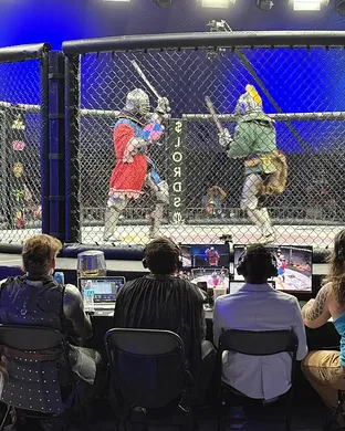Armored MMA - Medieval Cage Fighting