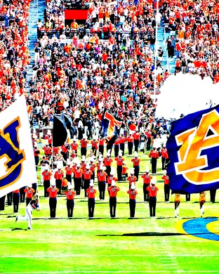 Auburn Tigers Austin
