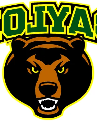 Baylor Bears San Marcos