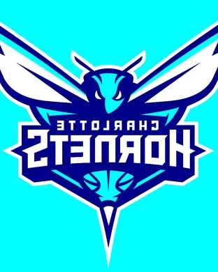 Charlotte Hornets Charlotte