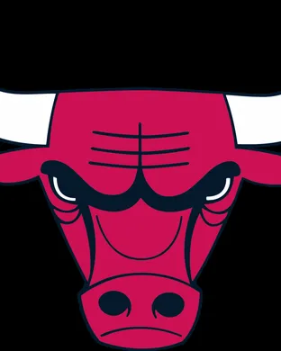 Chicago Bulls Chicago