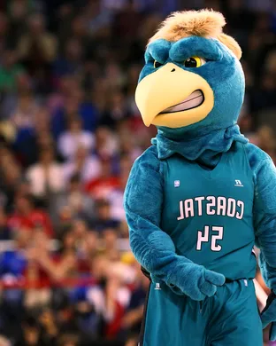 Coastal Carolina Chanticleers Conway