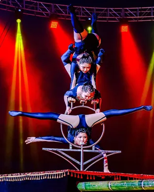 Garden Bros Nuclear Circus Austin