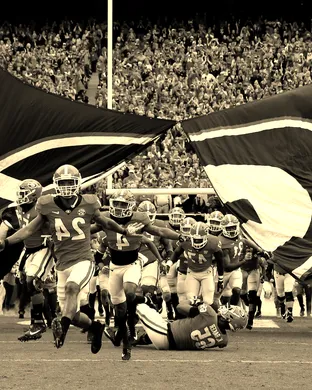 Georgia Bulldogs Austin