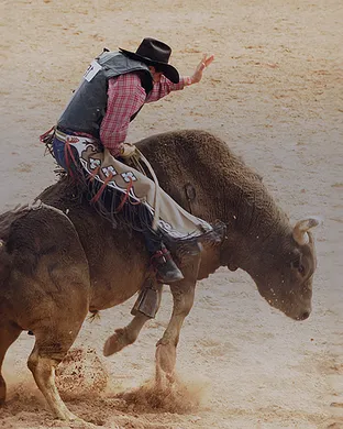 Pbr Team Series Austin