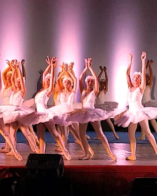 Swan Lake San Antonio