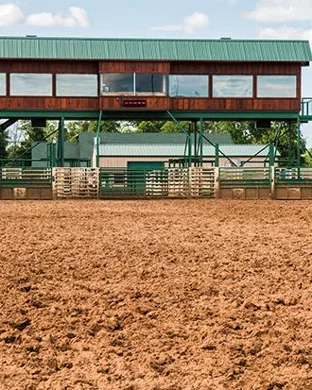 San Antonio Stock Show and Rodeo San Antonio